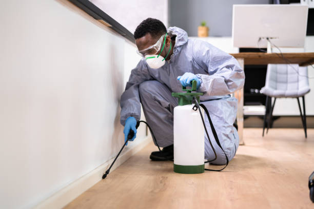 Best Residential Pest Control  in Coburg, OR